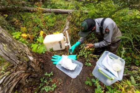 Alex Poole setting up a Rotenone drip station in a tributary of Soda Butte Creek