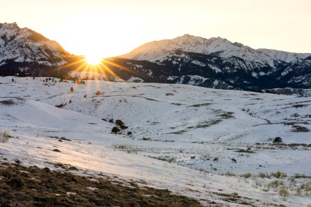 Elk graze near the North Entrance at sunset