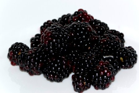 fresh-blackberries-on-white-background photo