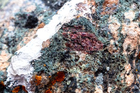 Garnet intrusion photo