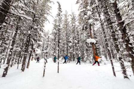 Cross-country skiing the Roller Coaster Trail (13) photo