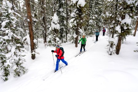 Skiers on the Spring Creek Trail photo