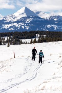 Skiing the Bunsen Peak Road Ski Trail (2)