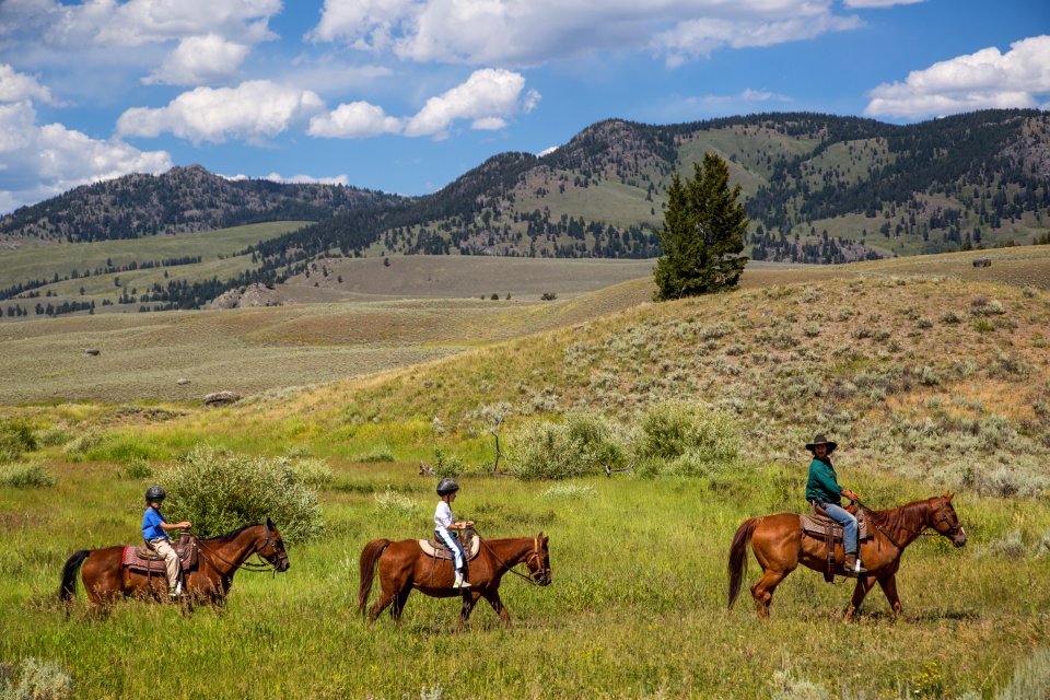 Horseback ride at Roosevelt Lodge