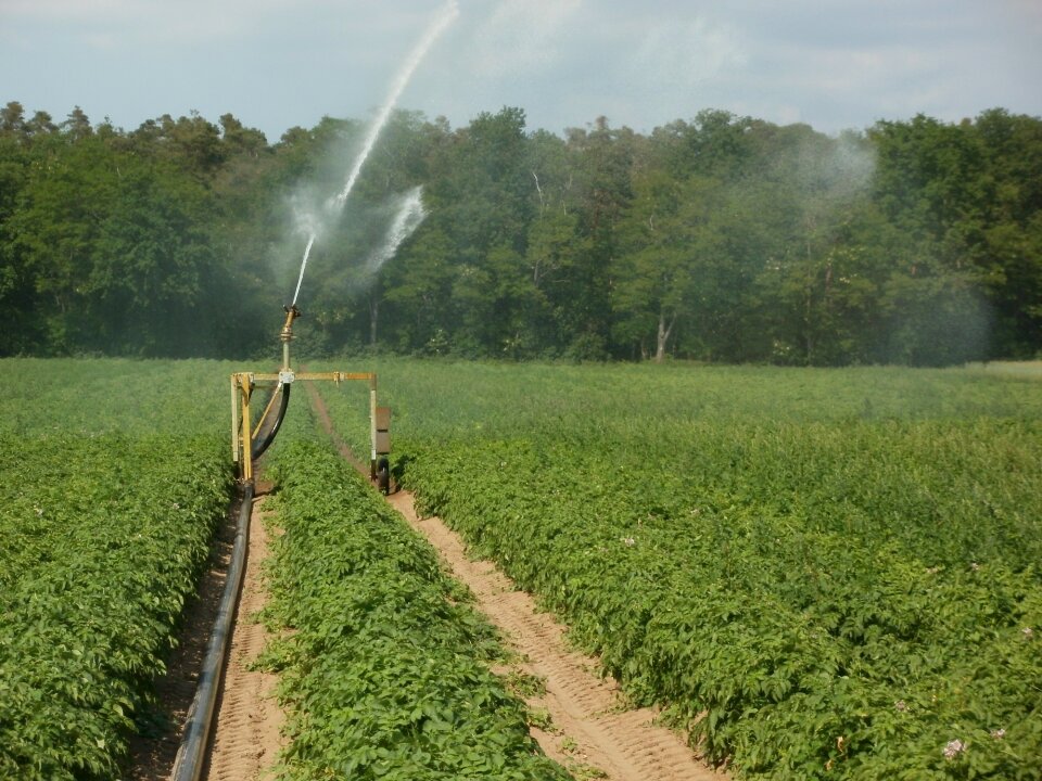 Water plantation agriculture
