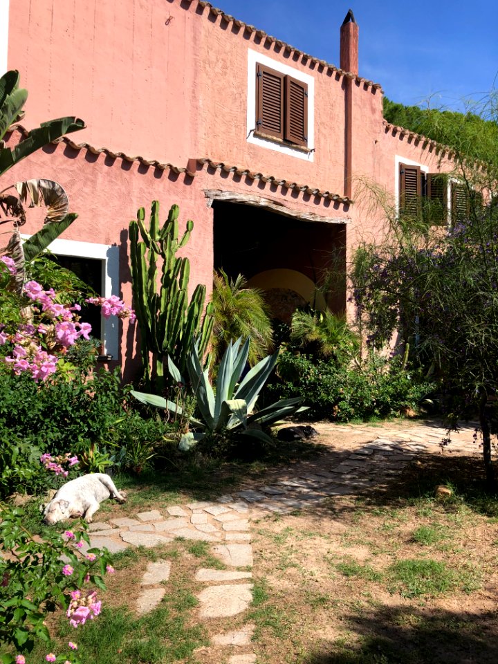 Tartarughe - Sardinia