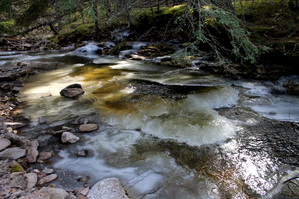 Blue Falls, Nova Scotia - March 2016
