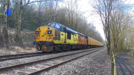 Class 37 099 photo