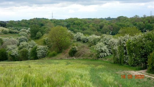 Kirkby-in-Ashfield, Quarries photo