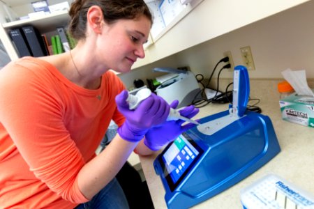 Measuring the quality, purity, and concentration of the extracted DNA with a spectrophotometer to be used for qPCR (real-time polymerase chain reaction) testing. photo