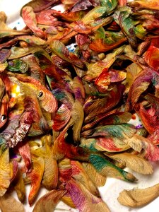 Nature decoration painted