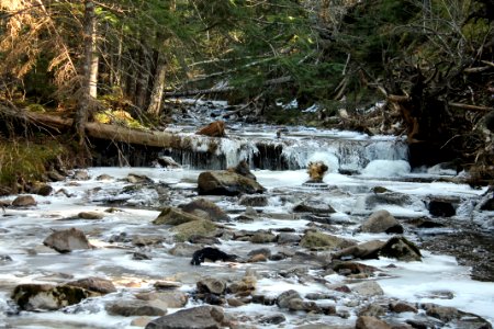 Blue Falls, Nova Scotia - March 2016