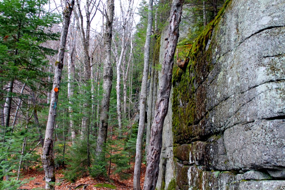 Mount Jo Hike - November 2015