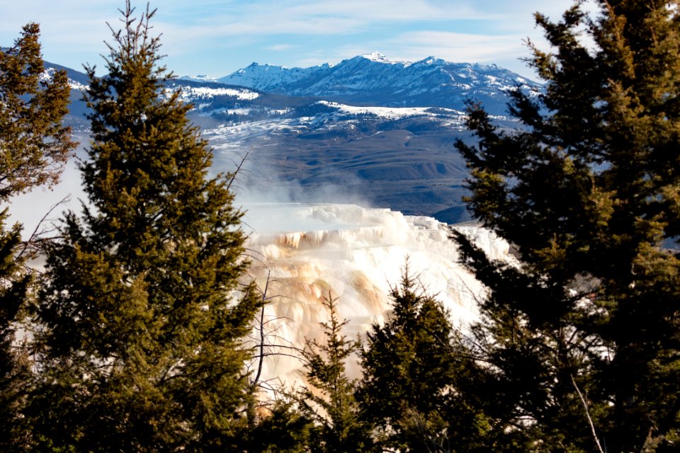 Overlooking Canary Spring through the trees