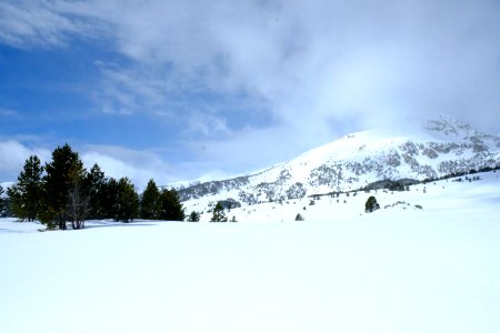 DSCF6386