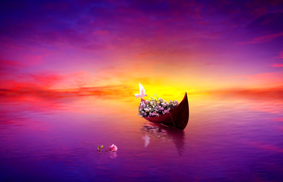 Boat nature romantic