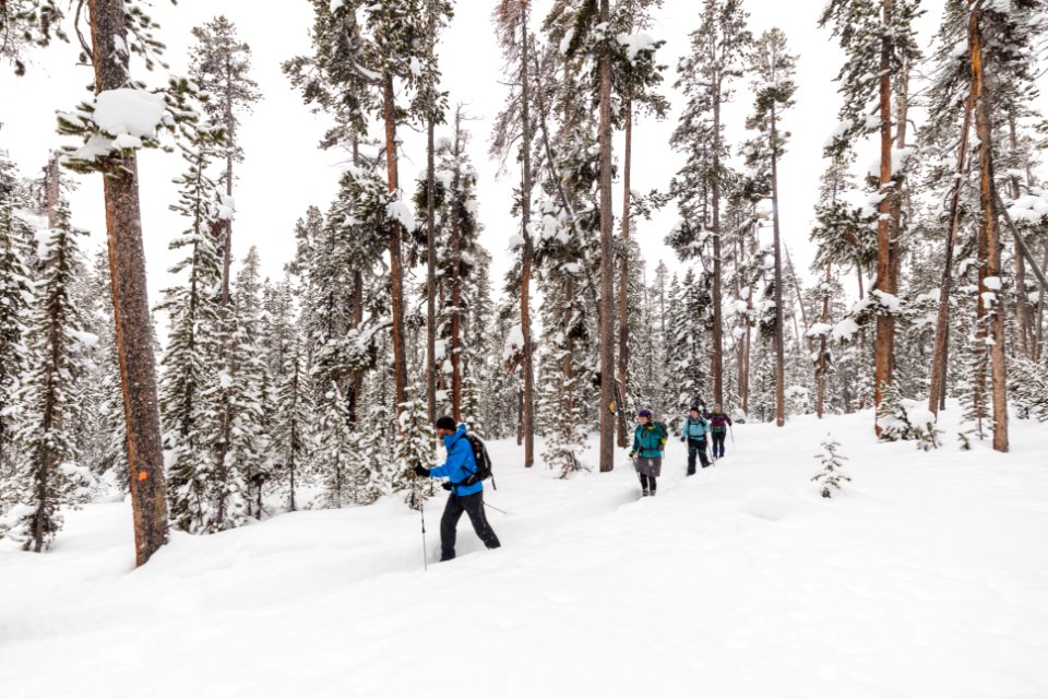 Cross-country skiing the Roller Coaster Trail (8)