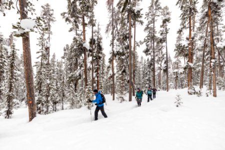 Cross-country skiing the Roller Coaster Trail (8) photo