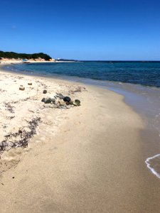 Sant'Elmo Beach in Costa Rei