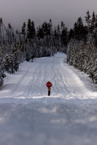 Norris Junction during an inversion (portrait) photo