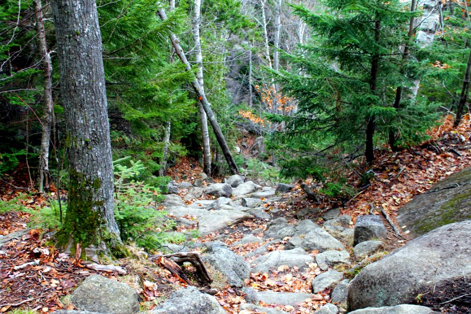 Mount Jo Hike - November 2015