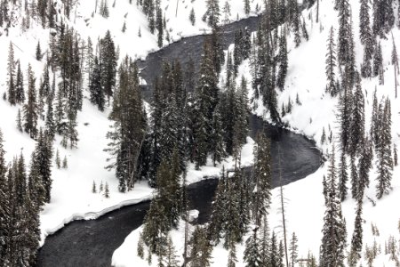 Lewis River curves through the canyon