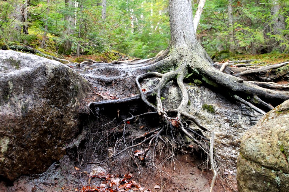 Mount Jo Hike - November 2015