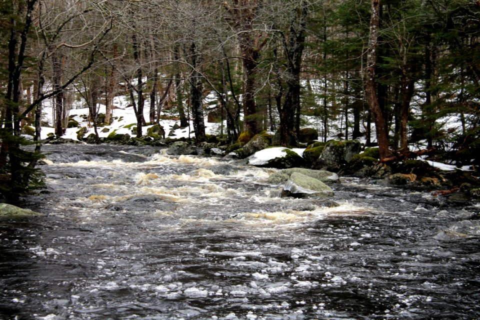 Mickey Hill Provincial Park