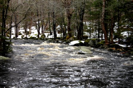 Mickey Hill Provincial Park