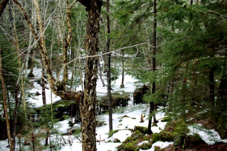 Mickey Hill Provincial Park photo