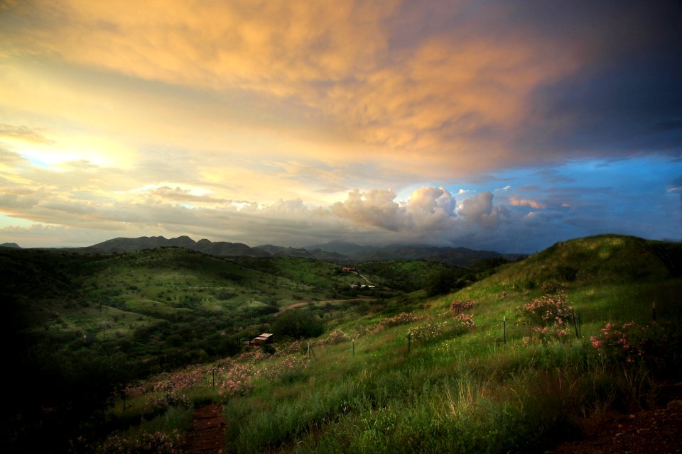 VIEW FROM THE HOUSE - 0227 (8-20-2014) -02