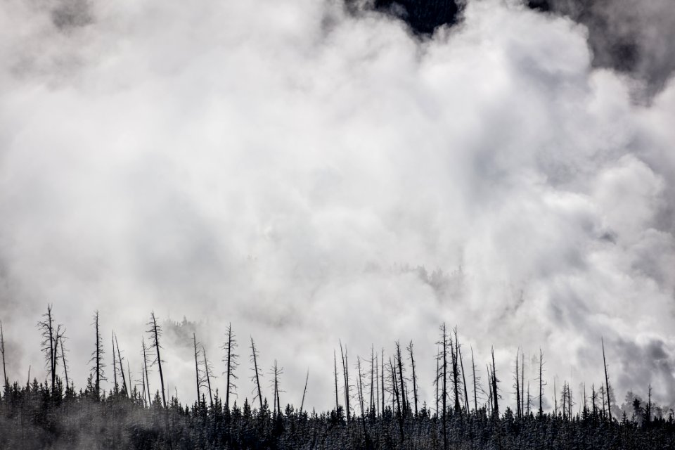 Norris Geyser Basin Overlook