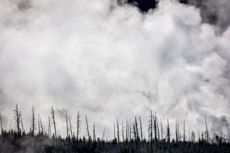 Norris Geyser Basin Overlook photo