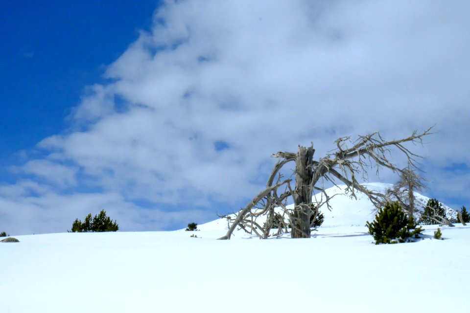 DSCF6444