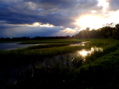 DSCF8147
