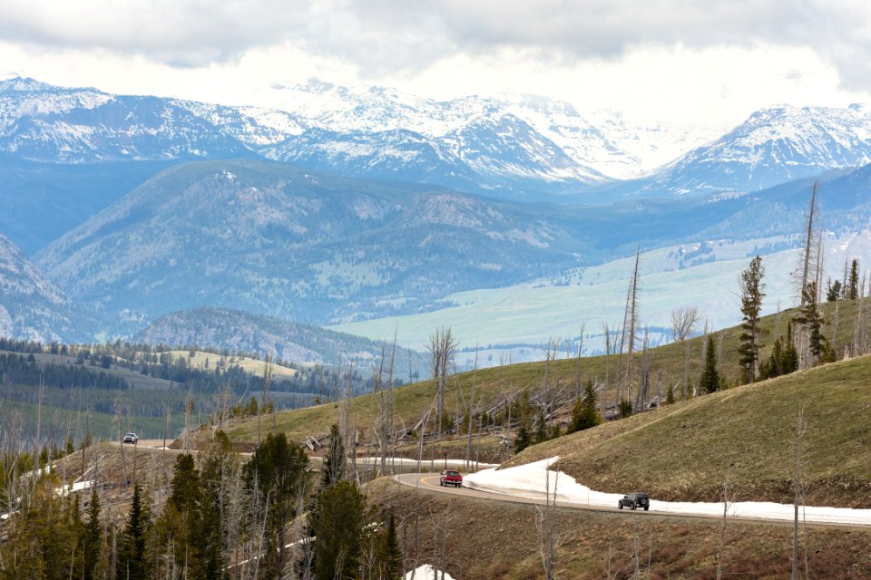 Views along Grand Loop Road from Tower Junction to Canyon Village (3)