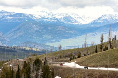 Views along Grand Loop Road from Tower Junction to Canyon Village (3) photo