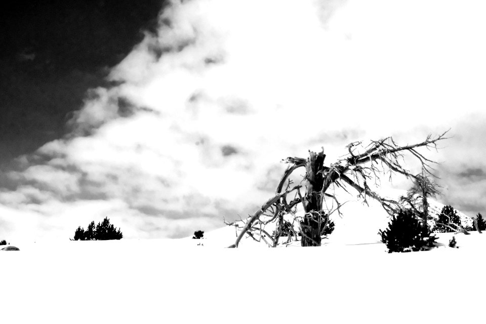 DSCF6444 bw