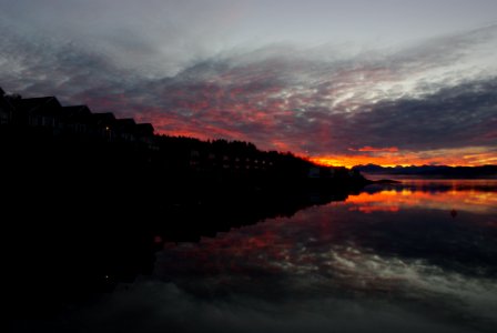 IMGP6485