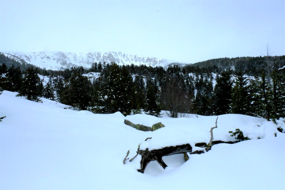 DSCF6356