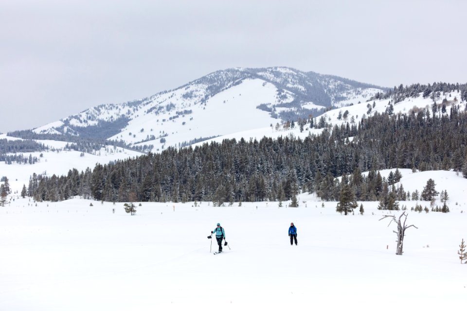 Views along the Bunsen Peak Road Ski Trail (2)