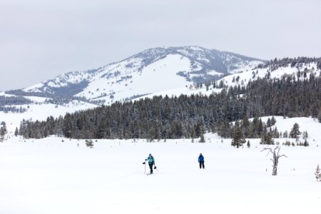 Views along the Bunsen Peak Road Ski Trail (2) photo