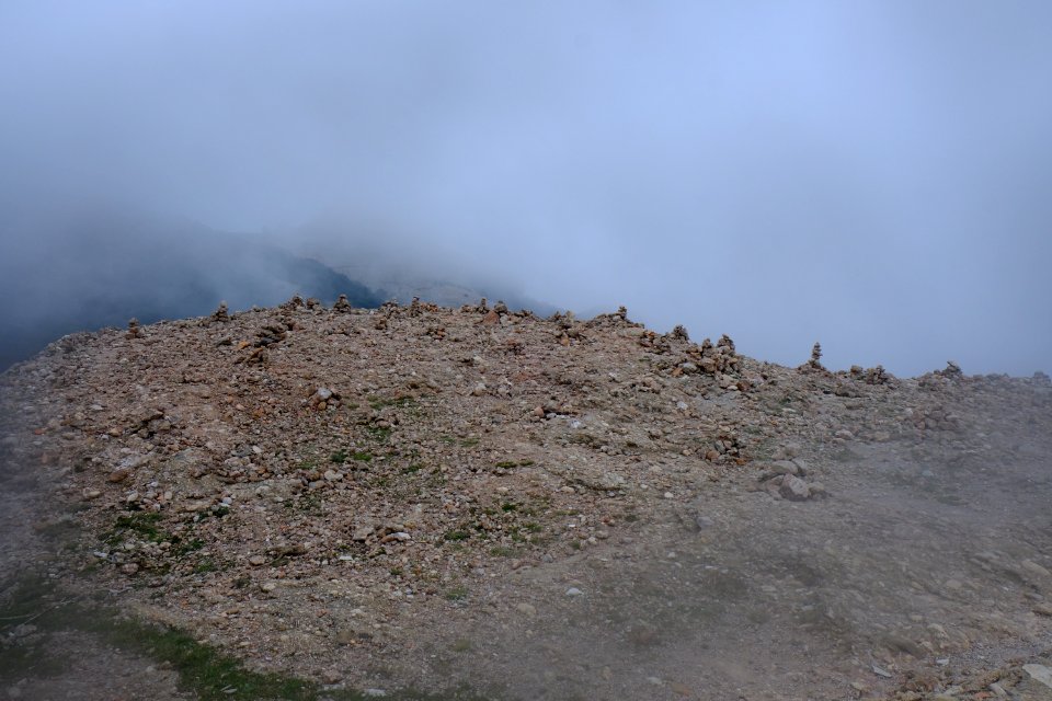DSCF6785