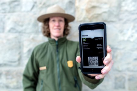 Your Pass Now in Yellowstone