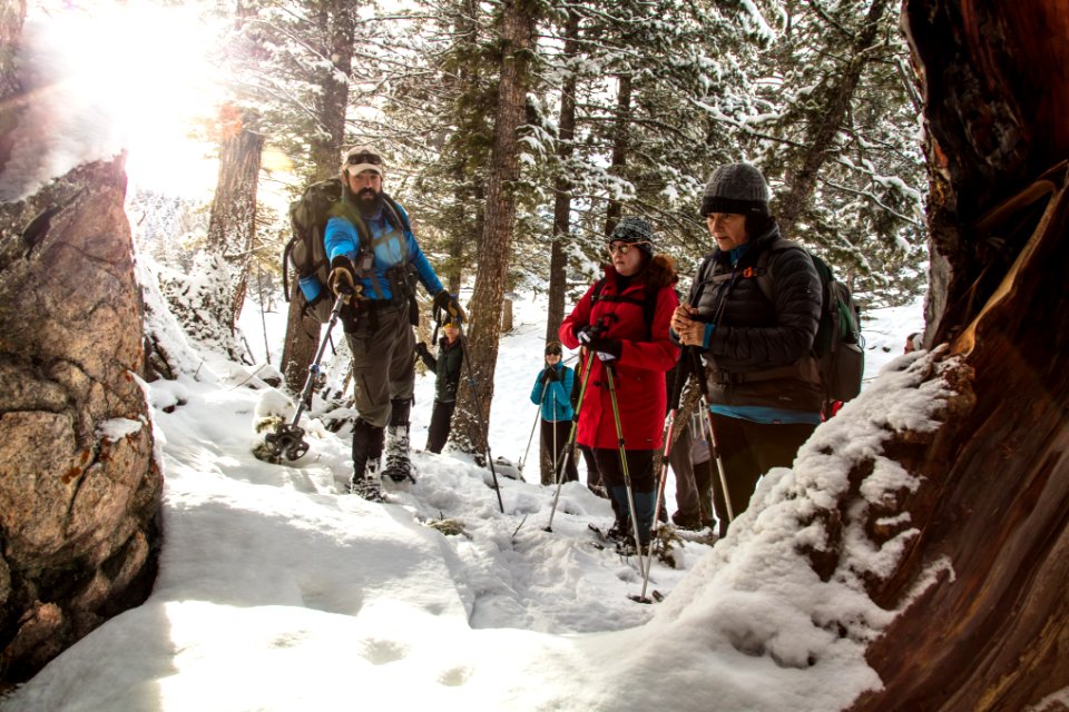 Yellowstone Forever Cougar course - Colby points out cougar tracks