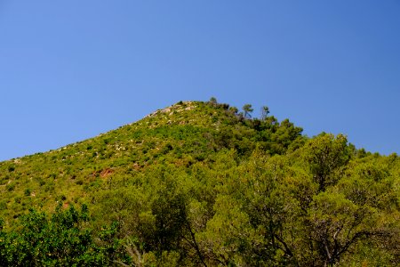 DSCF8822