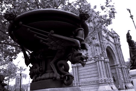 Dracs del triomf