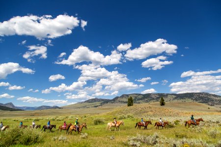 Horseback ride at Roosevelt Lodge