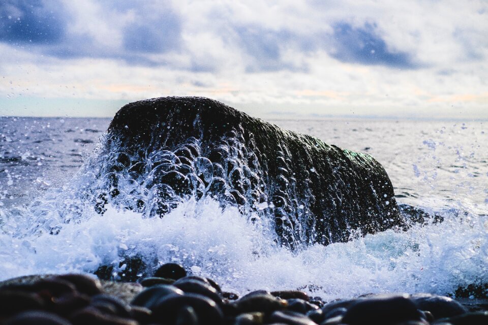 Ocean wave wet