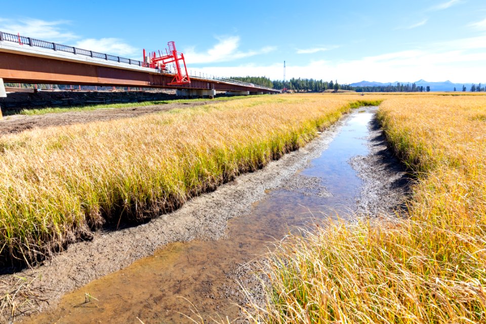 Pelican Creek Bridge project: view of the bridge from the ground